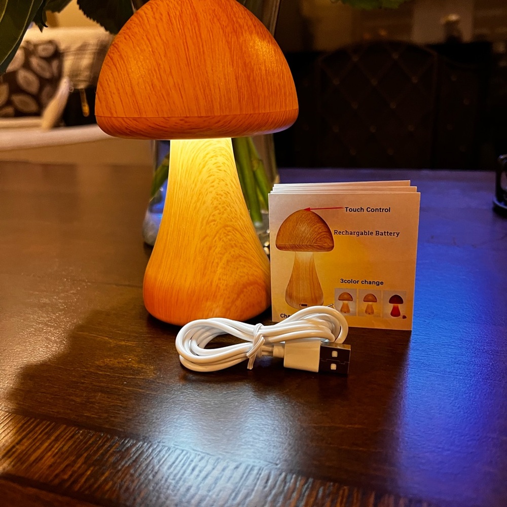 Mushroom Accent Lamp - Picture 4 of 4